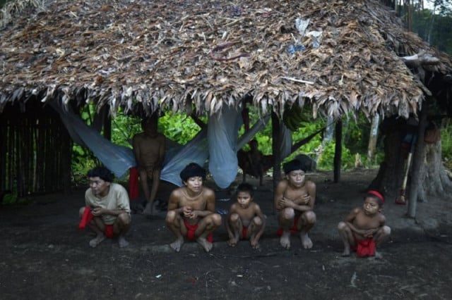 ជនជាតិដើមភាគតិច Yanomami ។ រូបថត AFP