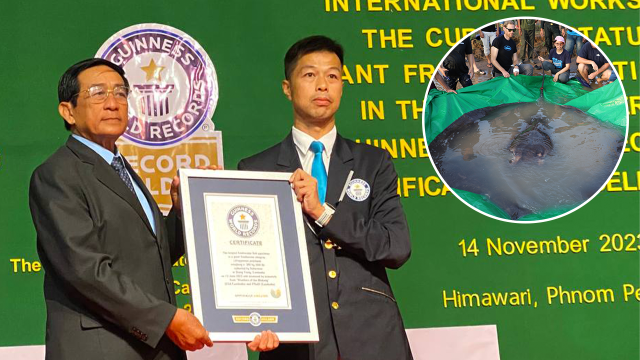 លោក យីប ជុងវៃ តំណាង Guinness World Records ប្រគល់វិញ្ញាបនបត្រត្រីទឹកសាបធំបំផុតលើពិភពលោក  ដល់លោក ហាស់ សារ៉េត រដ្ឋលេខាធិការក្រសួងកសិកម្ម  នៅថ្ងៃទី១៤ វិច្ឆិកា។ 